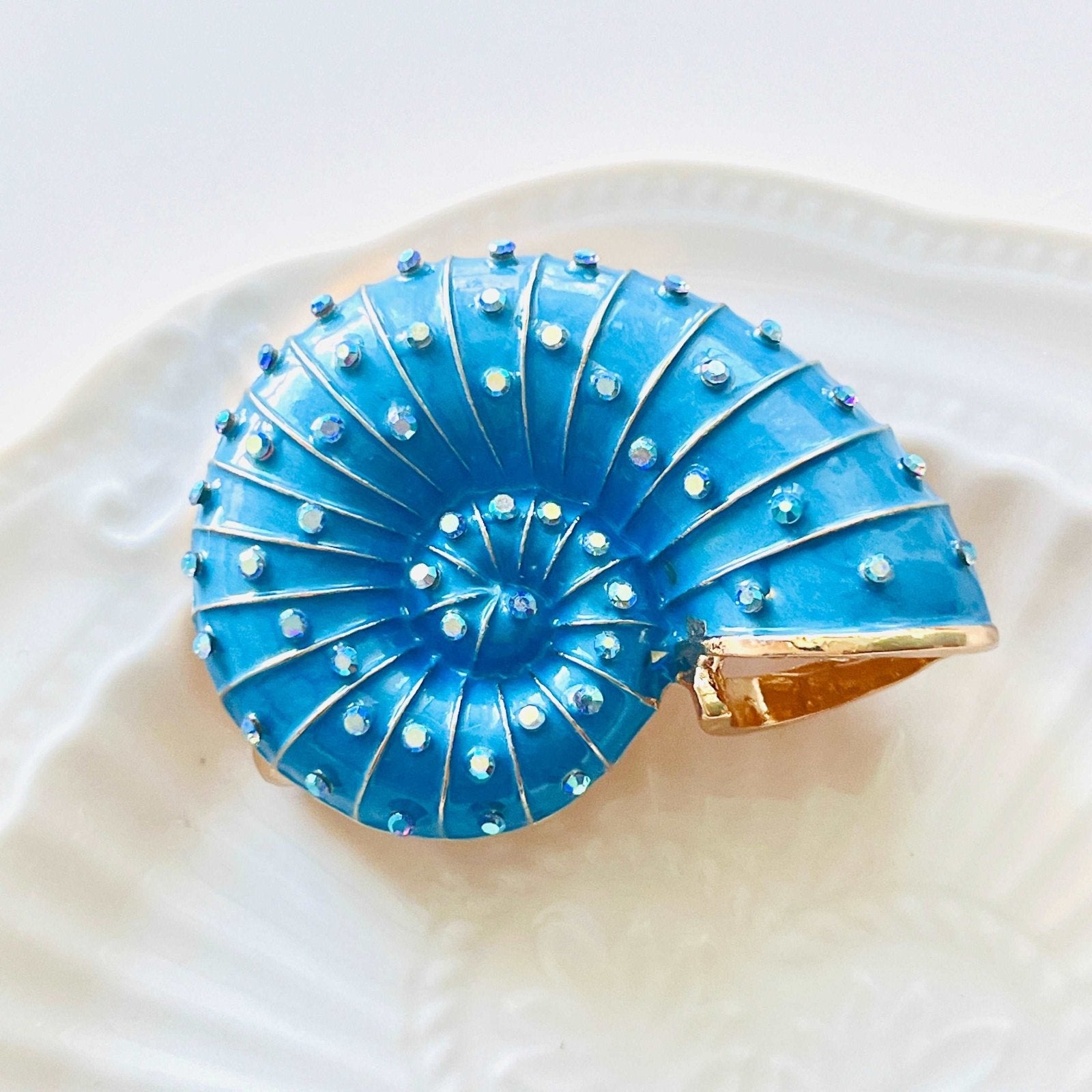 Blue Conch Shell Brooch – Natural Bunny Accessories