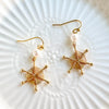 Halloween Spider Web Dangle Earrings