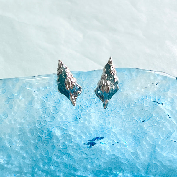 Sterling Silver Whelk Seashell Stud Earrings